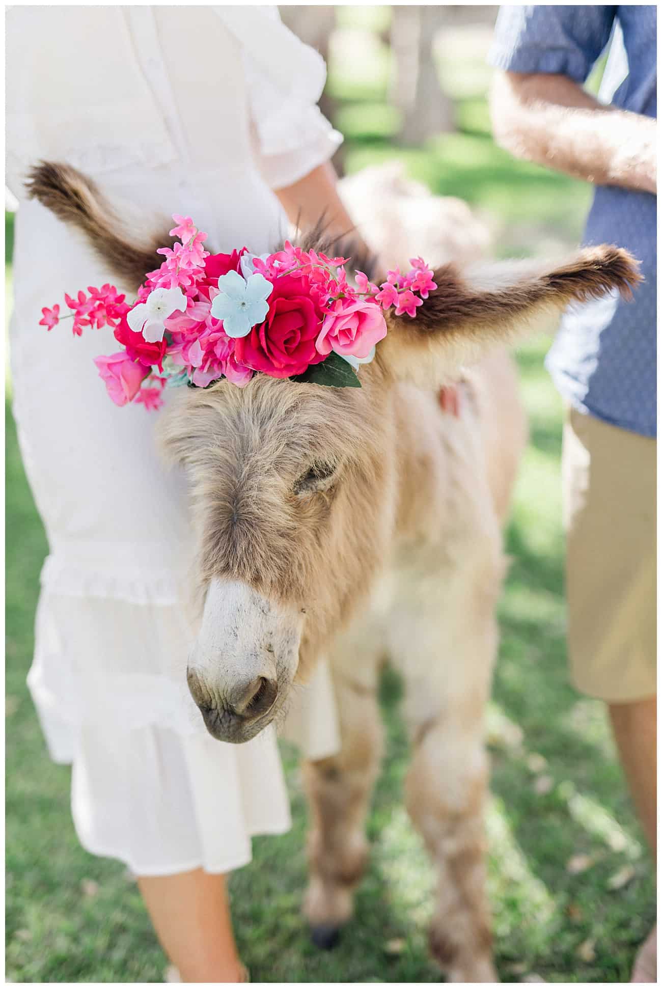 Cabo Engagement photography session